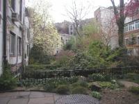 54-morton-st-garden-view-web.JPG