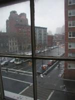 9-charlton-apt-8-view-to-street-web.jpg